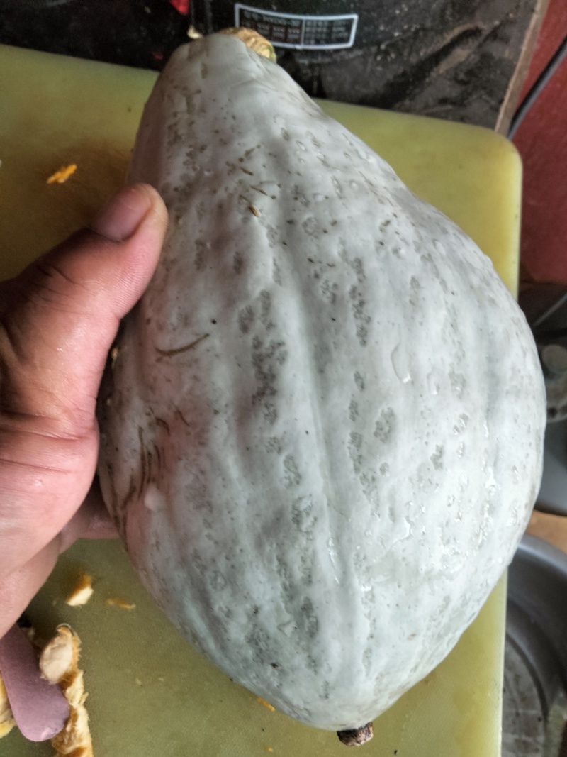 爆粉贵族南瓜