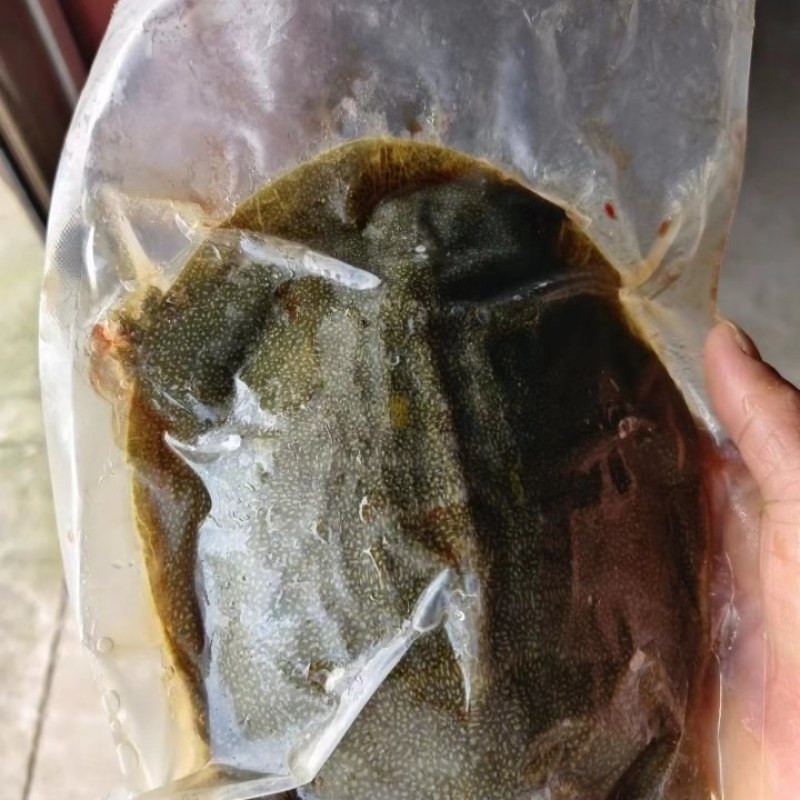 速冻生态甲鱼全国发货包邮欢迎来电品质保证诚信经营