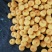 【推荐】蒙阴黄桃毛蟠大量上市品种齐全量大从优