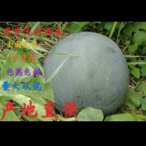 2026年新上市黑皮无籽西瓜(带霜)一茬瓜八成熟
