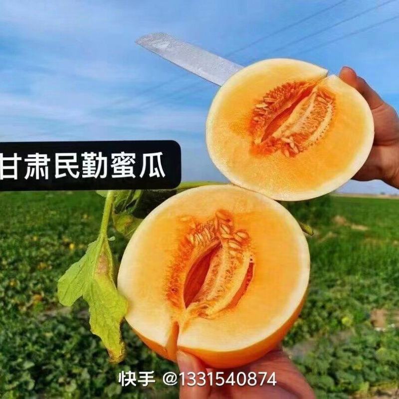 金红宝，甘肃民勤县