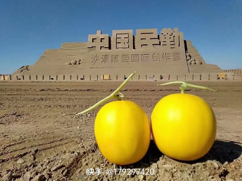 金红宝，甘肃民勤县