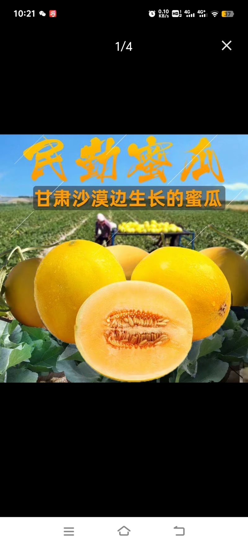 金红宝，甘肃民勤县