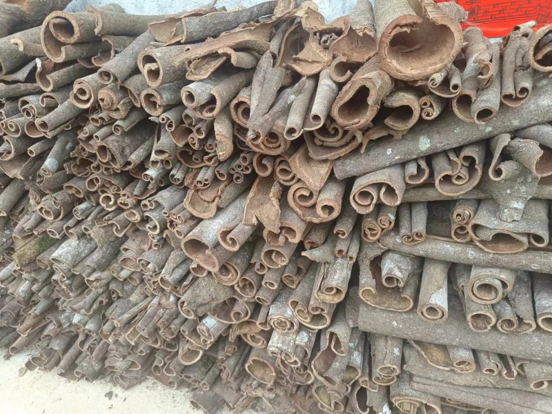 桂皮桂通肉桂烟桂品质好