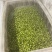 溱湖老菱角、两角青菱、老菱角产区直发品质保证