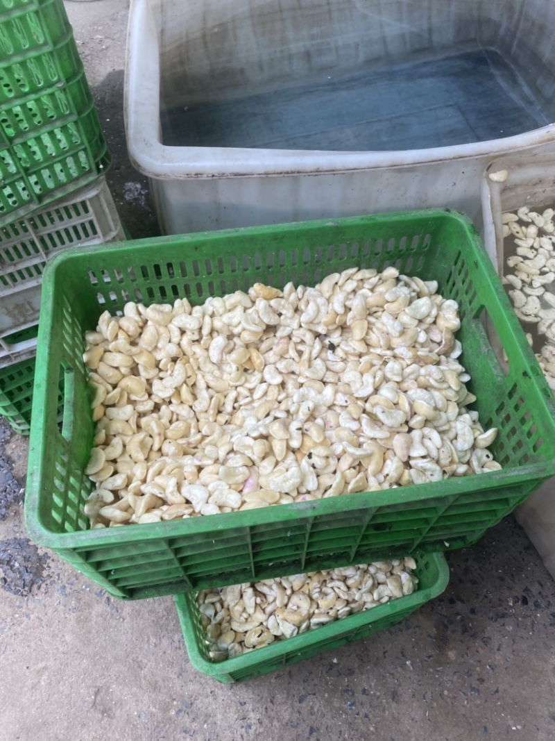 溱湖老菱角、两角青菱、老菱角产区直发品质保证