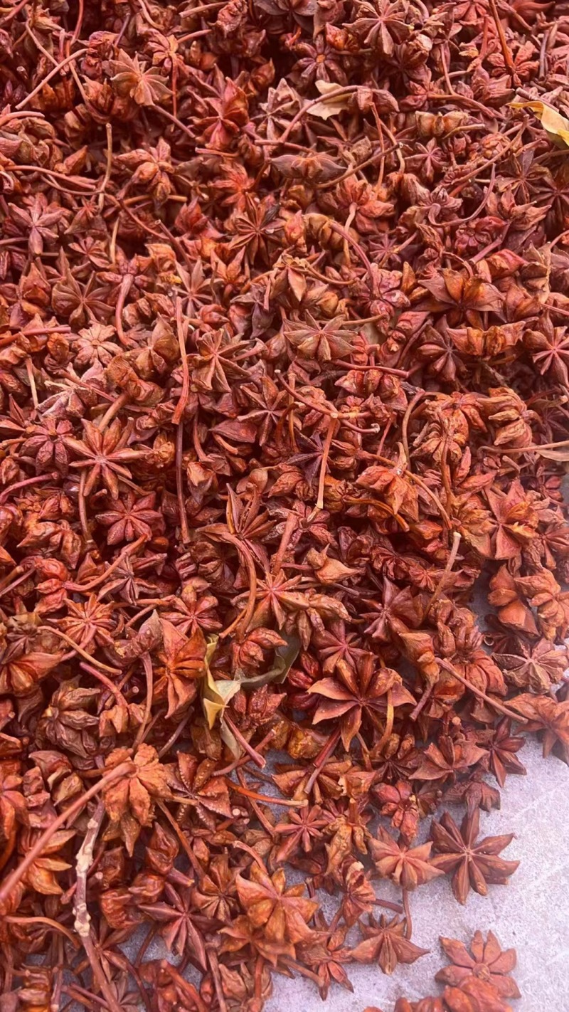 干八角春花干八角春花八角品质好