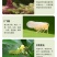埃森40%辛硫磷乳油菜青虫食叶害虫玉米螟食心虫农药杀虫剂