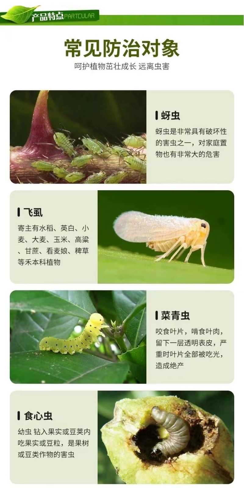 埃森40%辛硫磷乳油菜青虫食叶害虫玉米螟食心虫农药杀虫剂