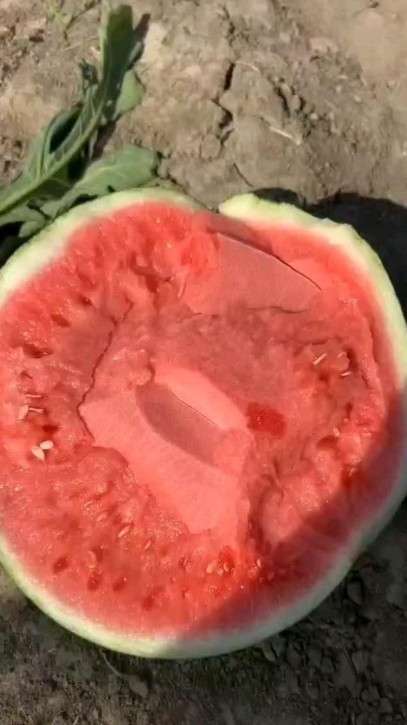 西瓜精品美都西瓜黑皮无籽瓜，保熟保甜品质保证原产地直发