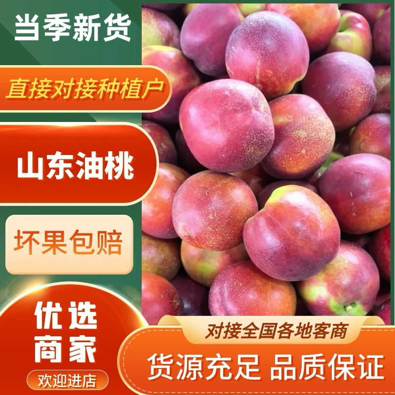 山东麻点油桃货好价格低承接电商团购一件代发