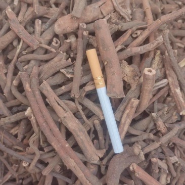 牡丹皮现货供应，手砸货，药厂货，新货，陈货都有，选条