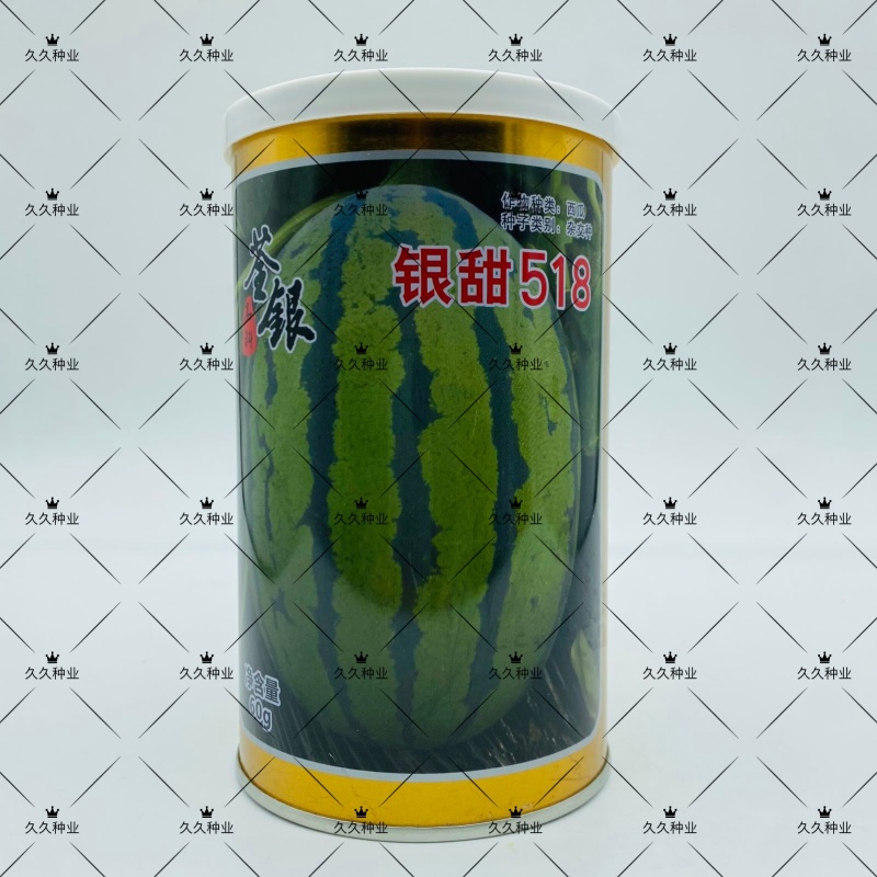 银甜518西瓜种子荃银牌丰产抗病耐运输高糖度中熟大红瓤