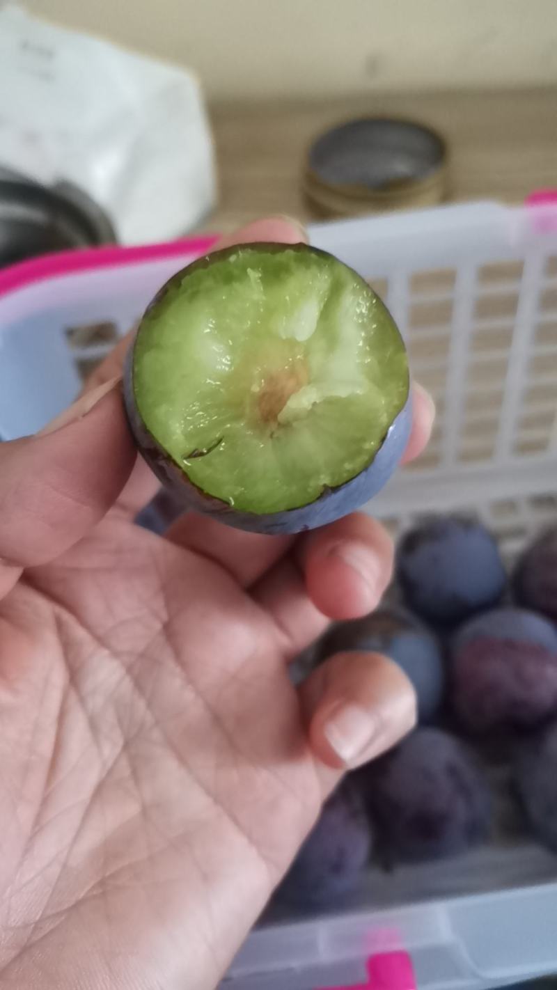 五月脆