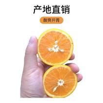 夏橙榨汁专用湖北秭归产地直销鲜橙代办代发