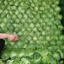 精品甘蓝圆包菜，产地一手货源，价格便宜，保质保量