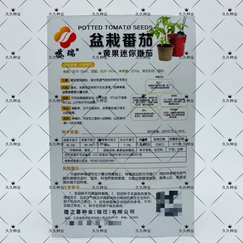 苏瑞盆栽黄番茄种子黄果迷你番茄结果率高矮身紧凑