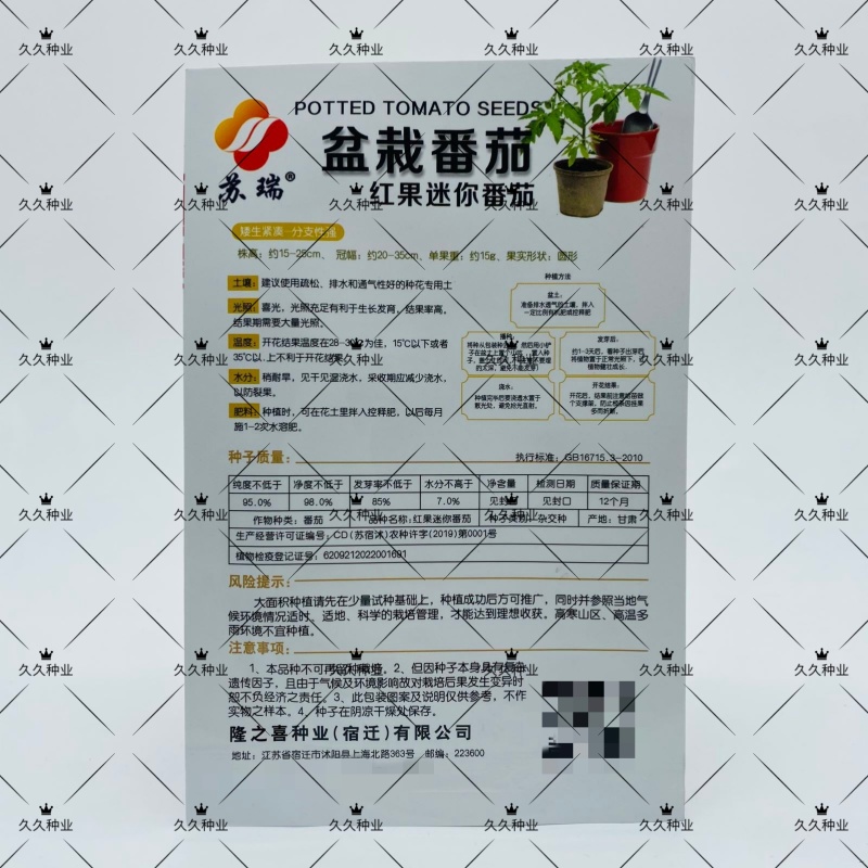 苏瑞盆栽红番茄种子圣女果千禧小番茄种子阳台四季西红柿