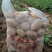 沃土5号土豆大量供货中
