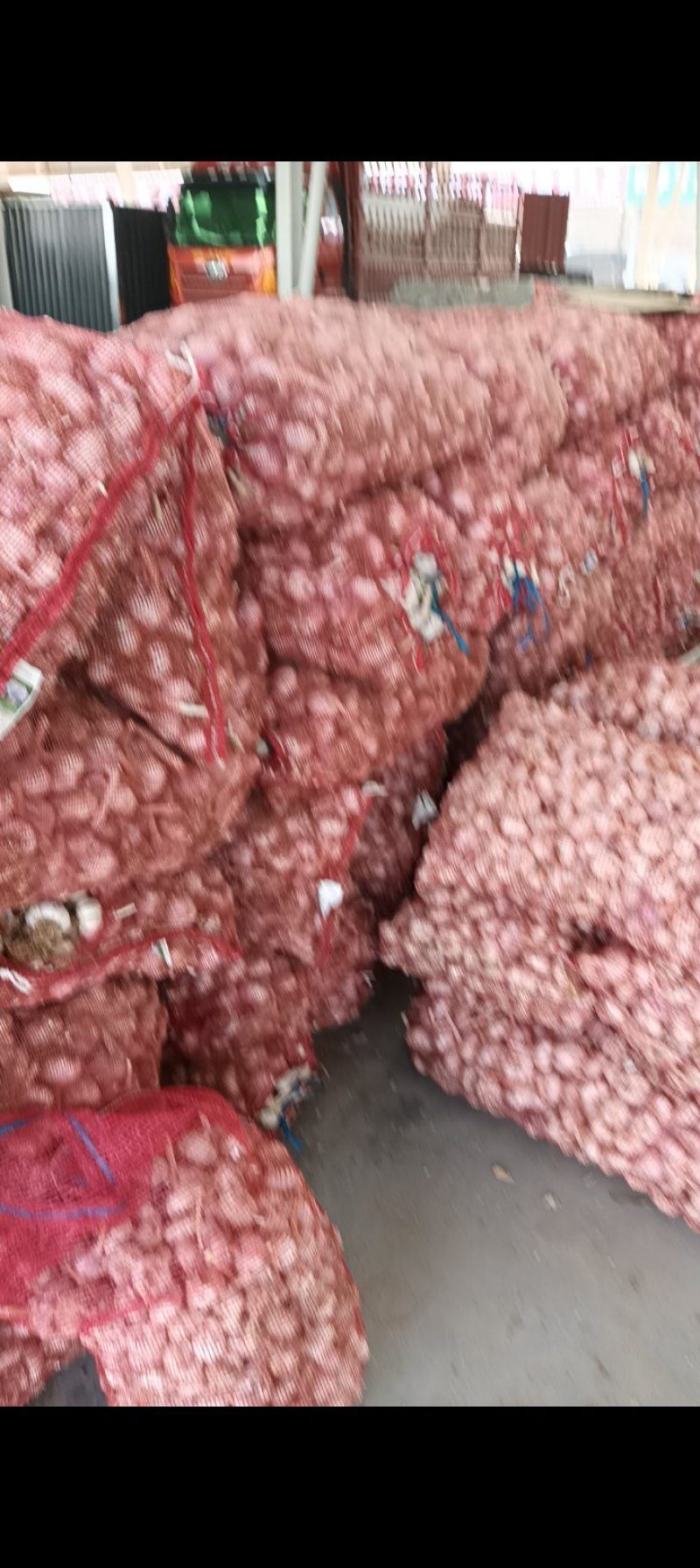 紫皮大蒜