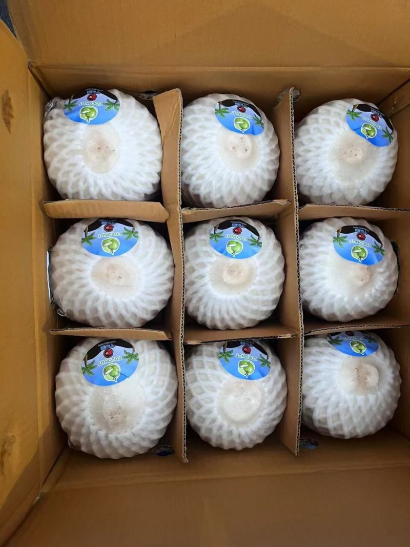 香水椰青