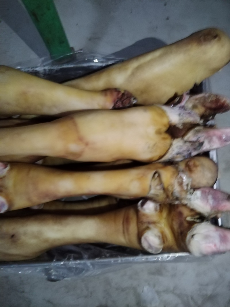 牛蹄，火烧毛牛蹄，可免费锯断。工厂直销一手货源