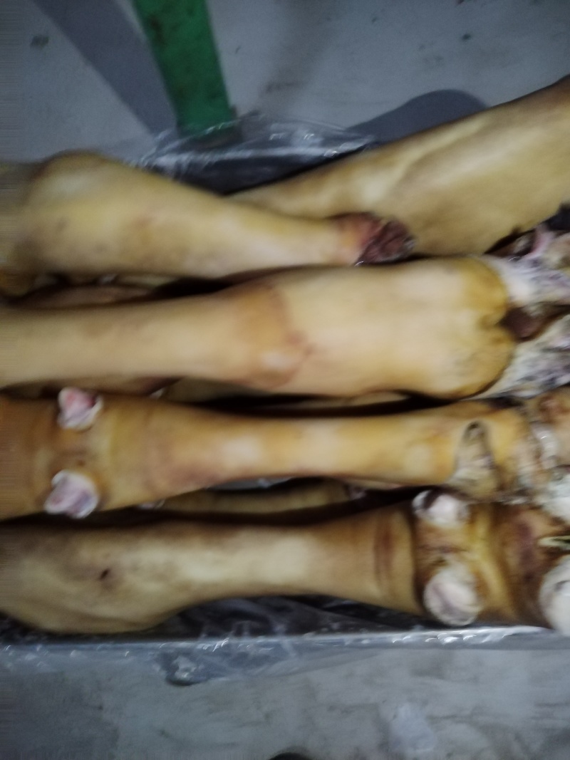 牛蹄，火烧毛牛蹄，可免费锯断。工厂直销一手货源