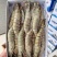 [好货推荐]精品海捕越南黑虎虾品质保障货源充足