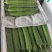 精品露天油皮丝瓜