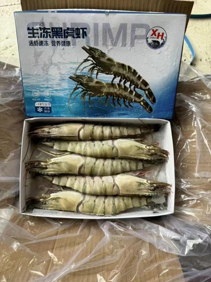 [好货推荐]精品海捕越南黑虎虾品质保障货源充足