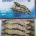 [好货推荐]精品海捕越南黑虎虾品质保障货源充足
