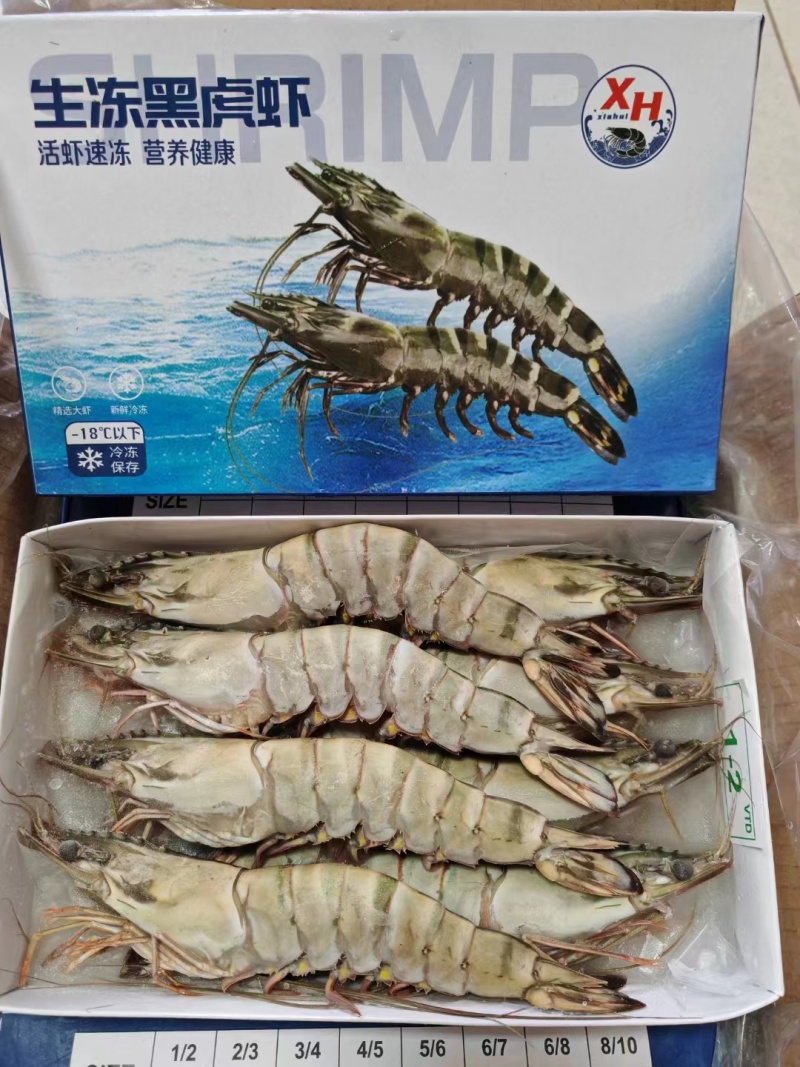 [好货推荐]精品海捕越南黑虎虾品质保障货源充足