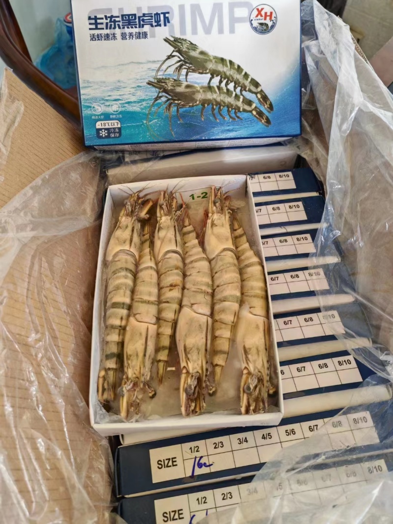 [好货推荐]精品海捕越南黑虎虾品质保障货源充足