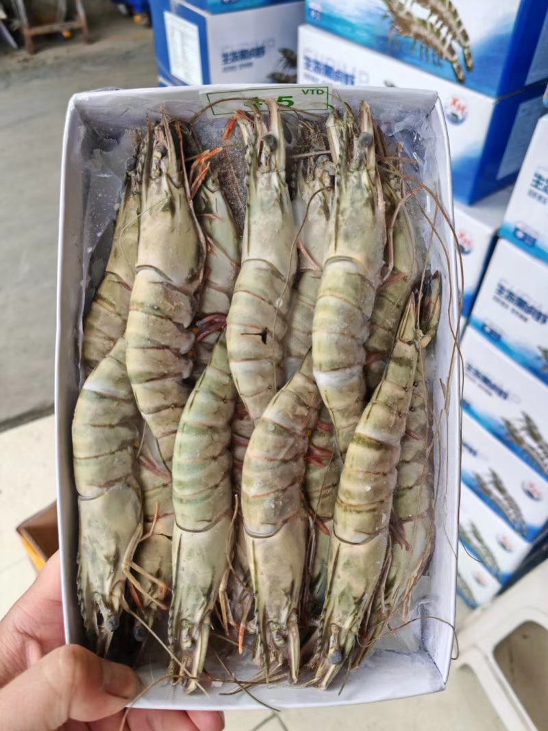 [好货推荐]精品海捕越南黑虎虾品质保障货源充足
