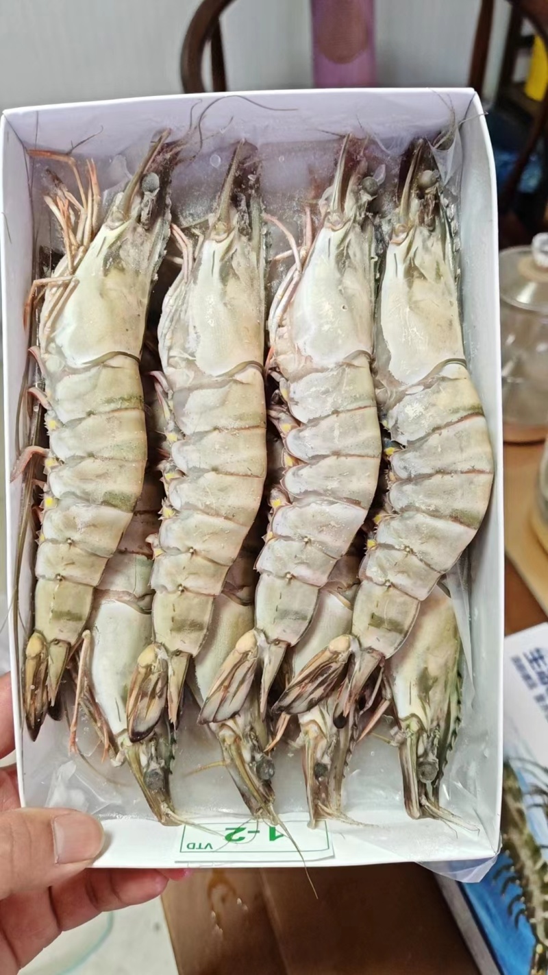 [好货推荐]精品海捕越南黑虎虾品质保障货源充足