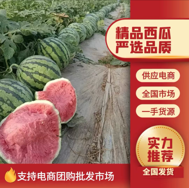 云南西瓜甜王西瓜（热卖推荐）保质保量可视频看货