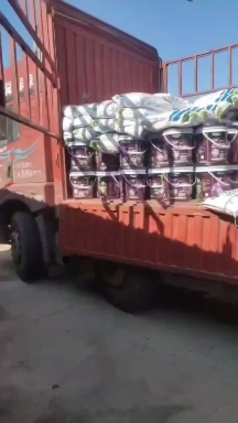 爆生根，增加产量提高品质根茎粗壮