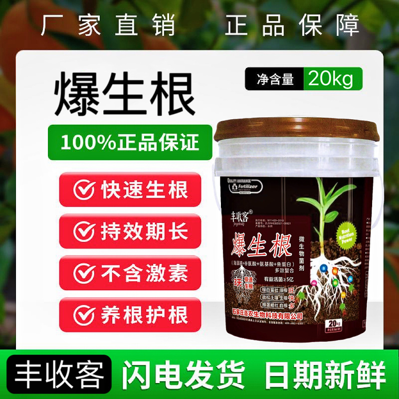 爆生根，增加产量提高品质根茎粗壮