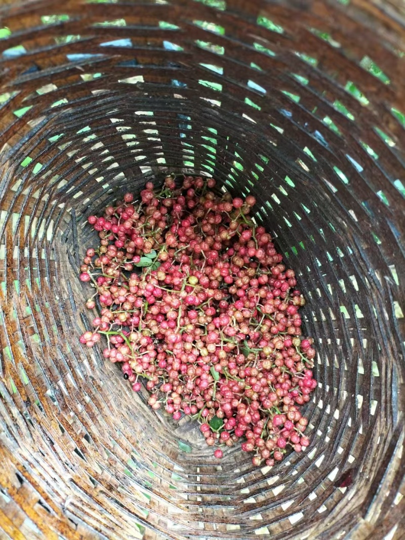 新鲜花椒7月底卖