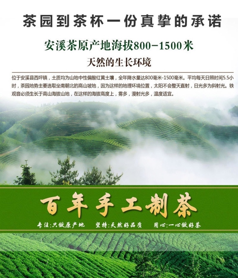 一件代发高山茶叶乌龙茶本山茶简易装口粮茶奶茶原料福利茶