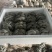 小叶黑平菇鲜平菇大量供应基地直发量大从优欢迎咨询