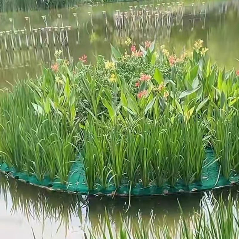 复合纤维浮动湿地高分子聚酯纤维浮动湿地水生植物湿地仿真湿