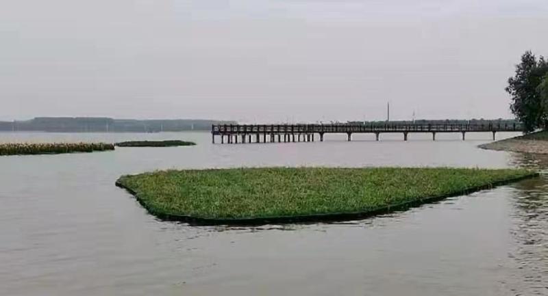 复合纤维浮动湿地高分子聚酯纤维浮动湿地水生植物湿地仿真湿