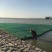 复合纤维浮动湿地高分子聚酯纤维浮动湿地水生植物湿地仿真湿