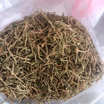 贵州野生金银花产地好货源充足新货，量大从优