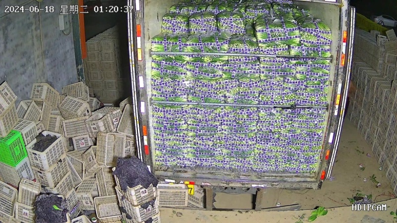 优质精品上海青大量上市产地直销，非常新鲜，欢迎采购