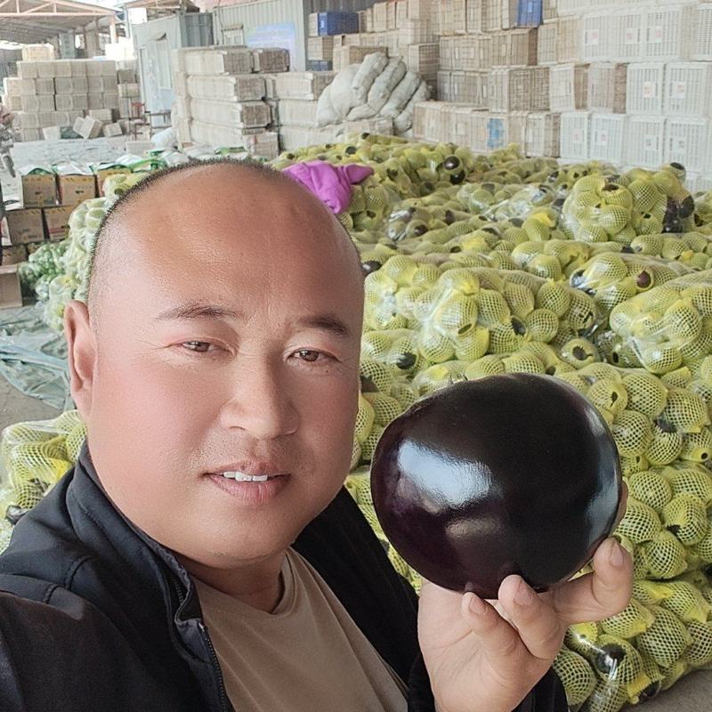 山东聊城园茄李合增代收代发各大蔬菜市场火热销售中