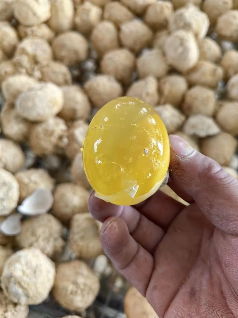 河南鸡蛋变蛋《留盆记刚变蛋》汝南县非物质文化