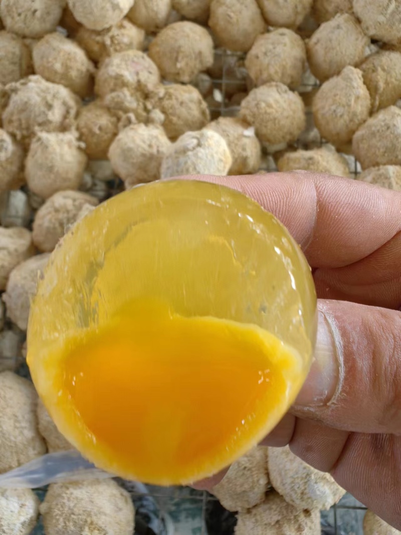 河南鸡蛋变蛋《留盆记刚变蛋》汝南县非物质文化