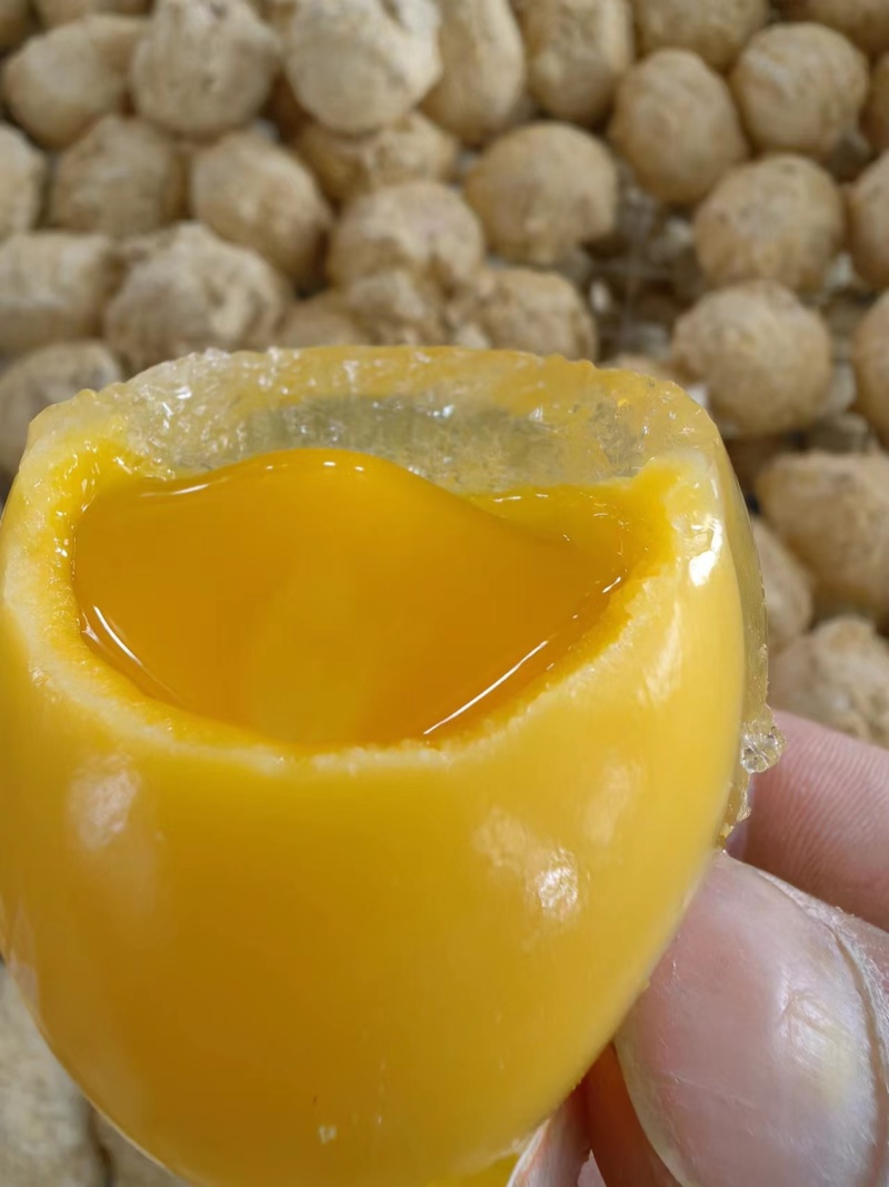 河南鸡蛋变蛋《留盆记刚变蛋》汝南县非物质文化